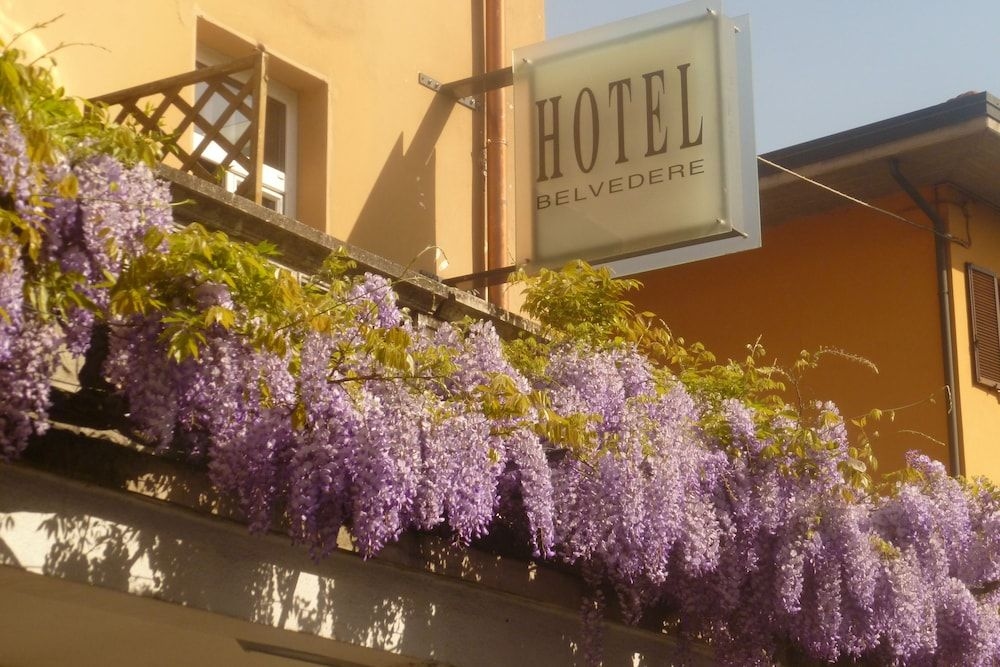 Hotel Belvedere2