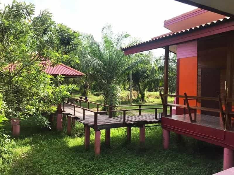 ธรรมชาติรีสอร์ท ไชยา (Thammachart Resort Chaiya)1