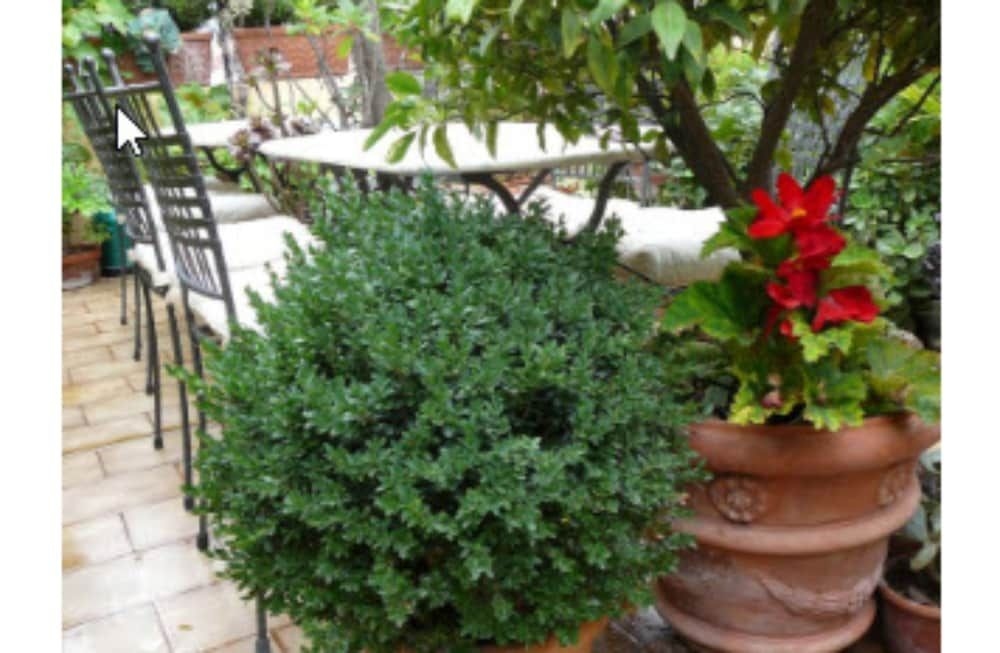 La Terrazza Dei Pelargoni B&B1