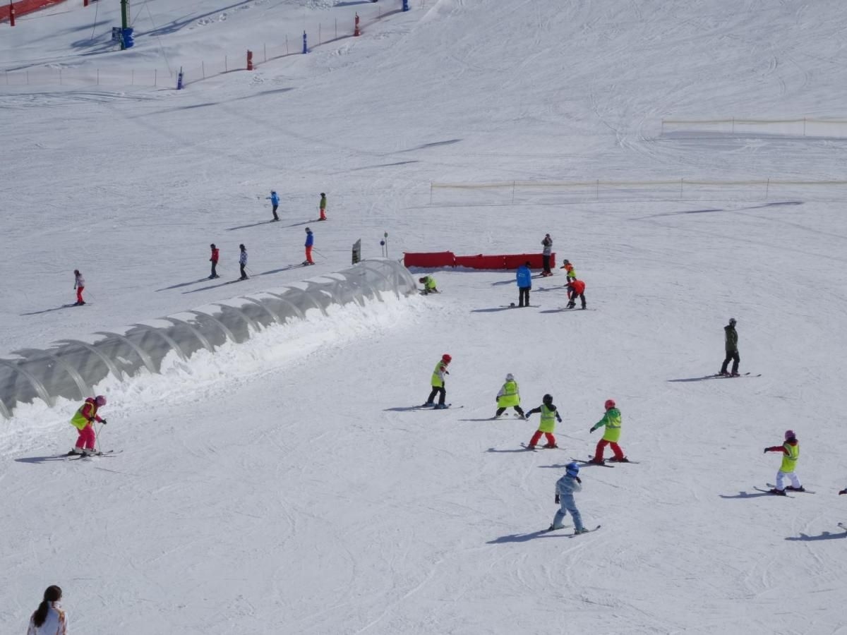 Abba Formigal2