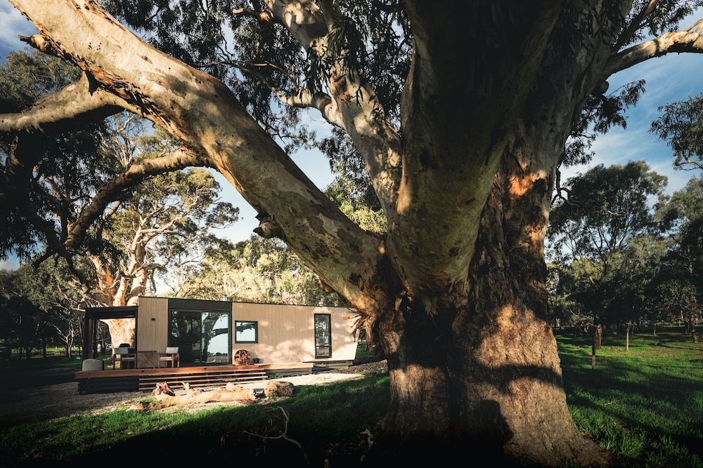 เคบิน แมคลาเรน เวล (Cabn Mclaren Vale)4