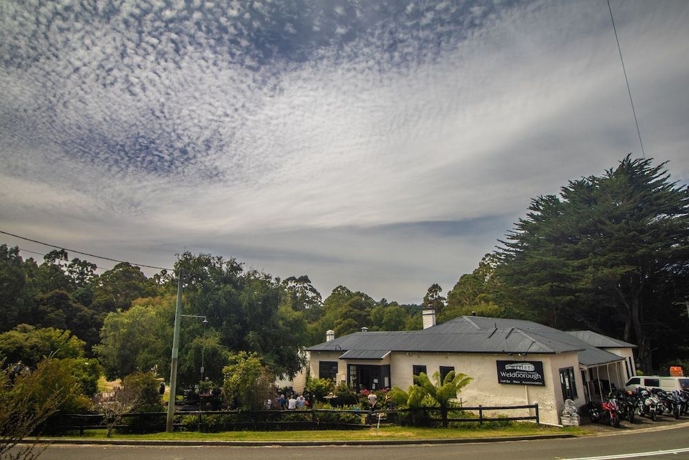 Weldborough Hotel1