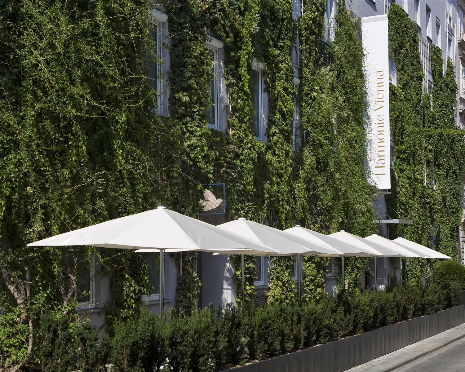 Harmonie0