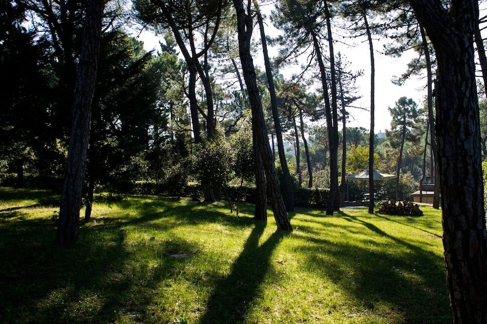 Villa Cesi3