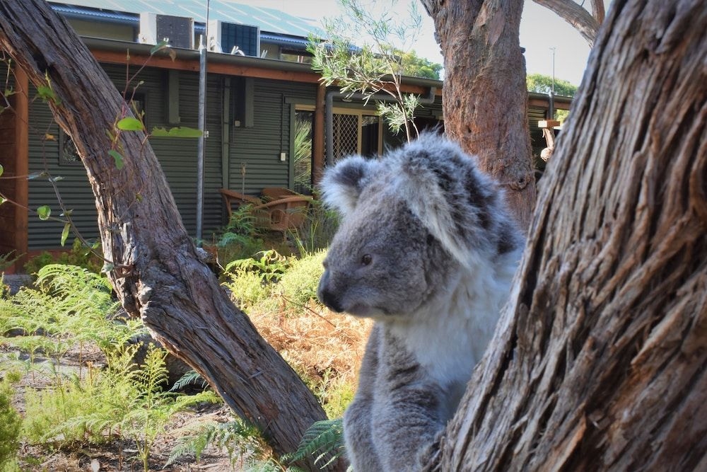 Kangaroo Island Wilderness Retreat2