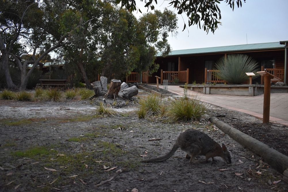 Kangaroo Island Wilderness Retreat1