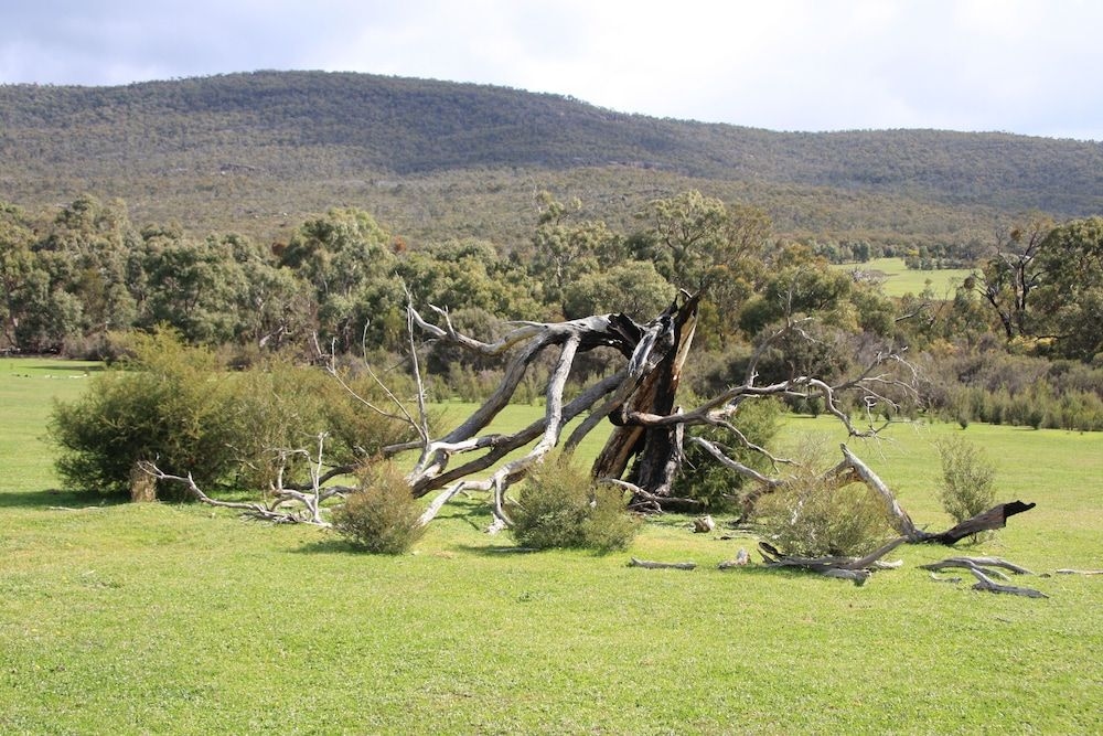 Boroka Downs4