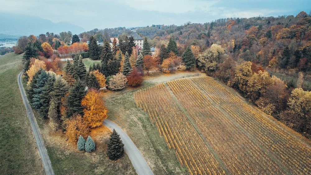 Chateau De Candie1
