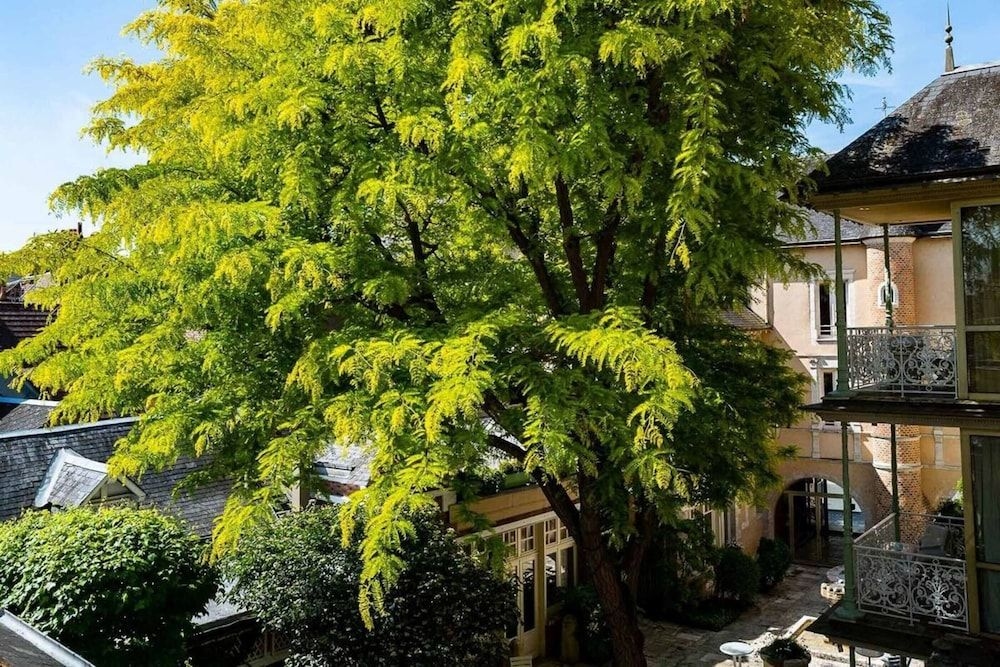 Grand Hotel Du Lion D'Or0