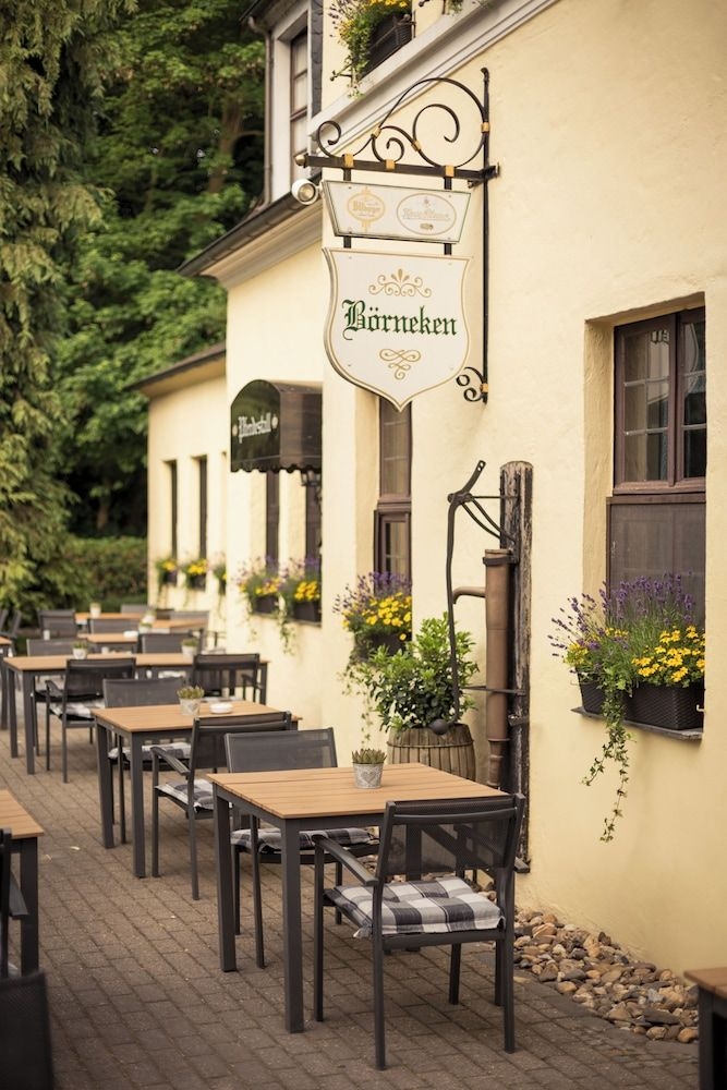 Park Schloss Hohenfeld3