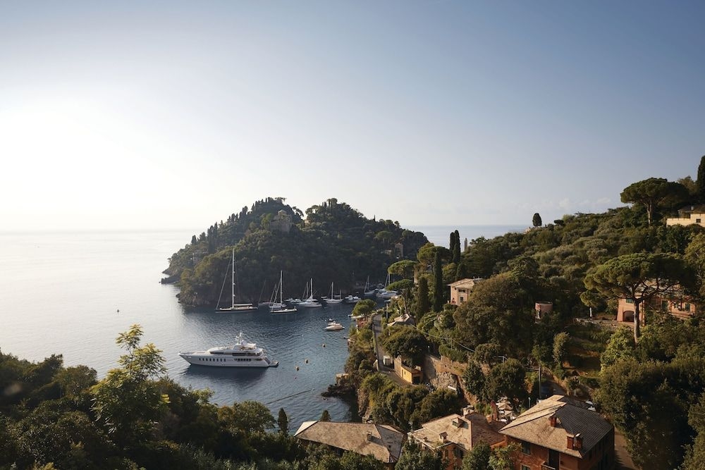 Splendido2