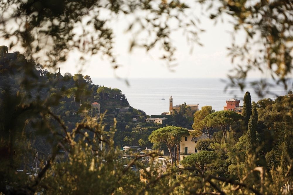 Splendido1