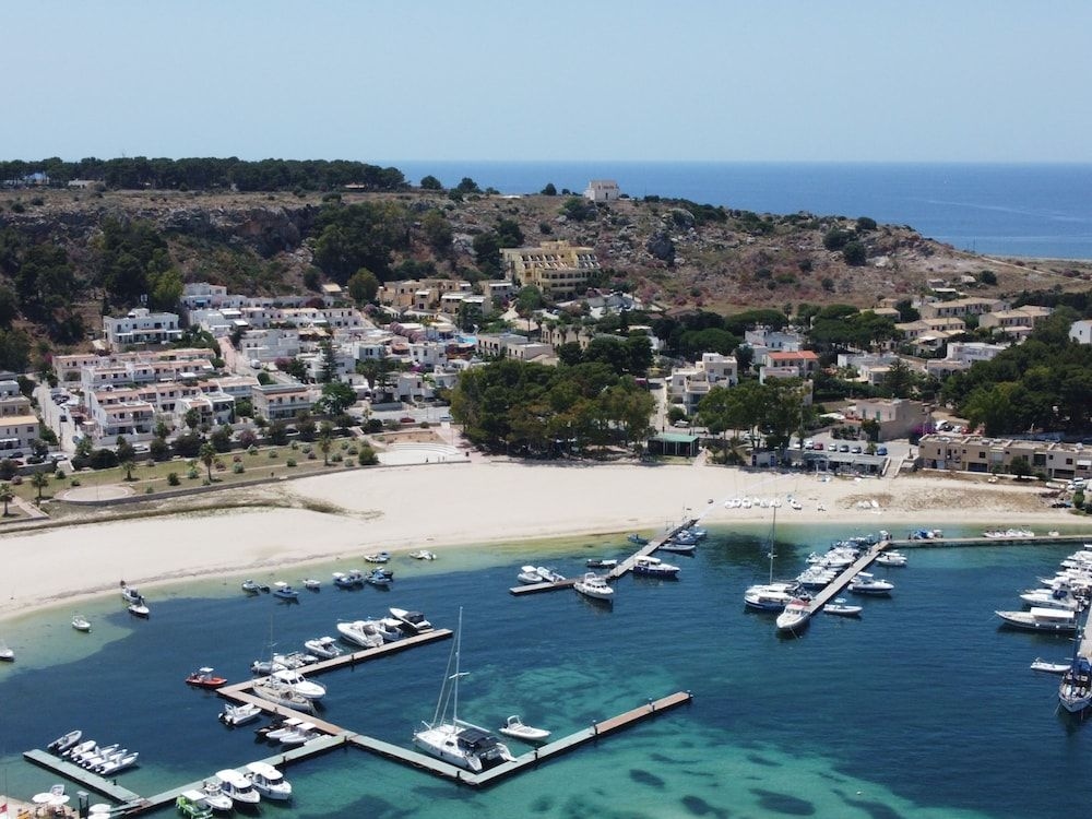 Panoramic4