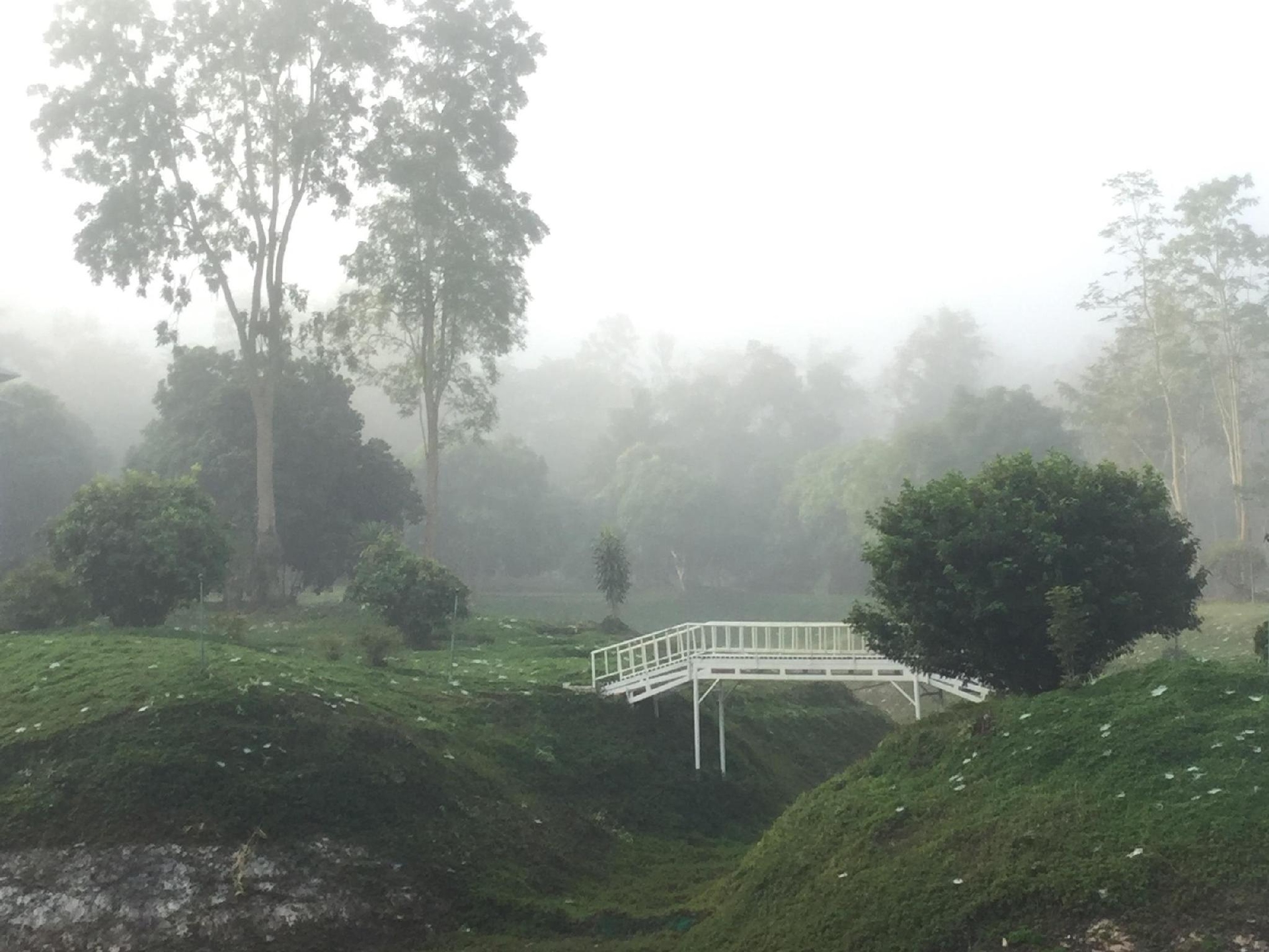 น่าน วัลเล่ย์ รีสอร์ท (Nan Valley Resort)4