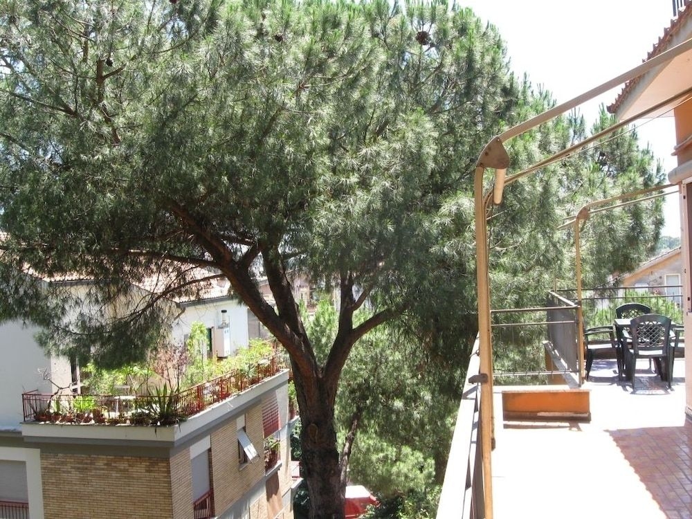 Attico Dei Pini4
