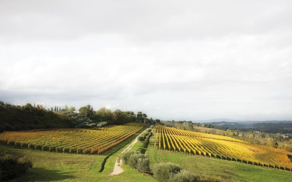 PODERI ARCANGELO1