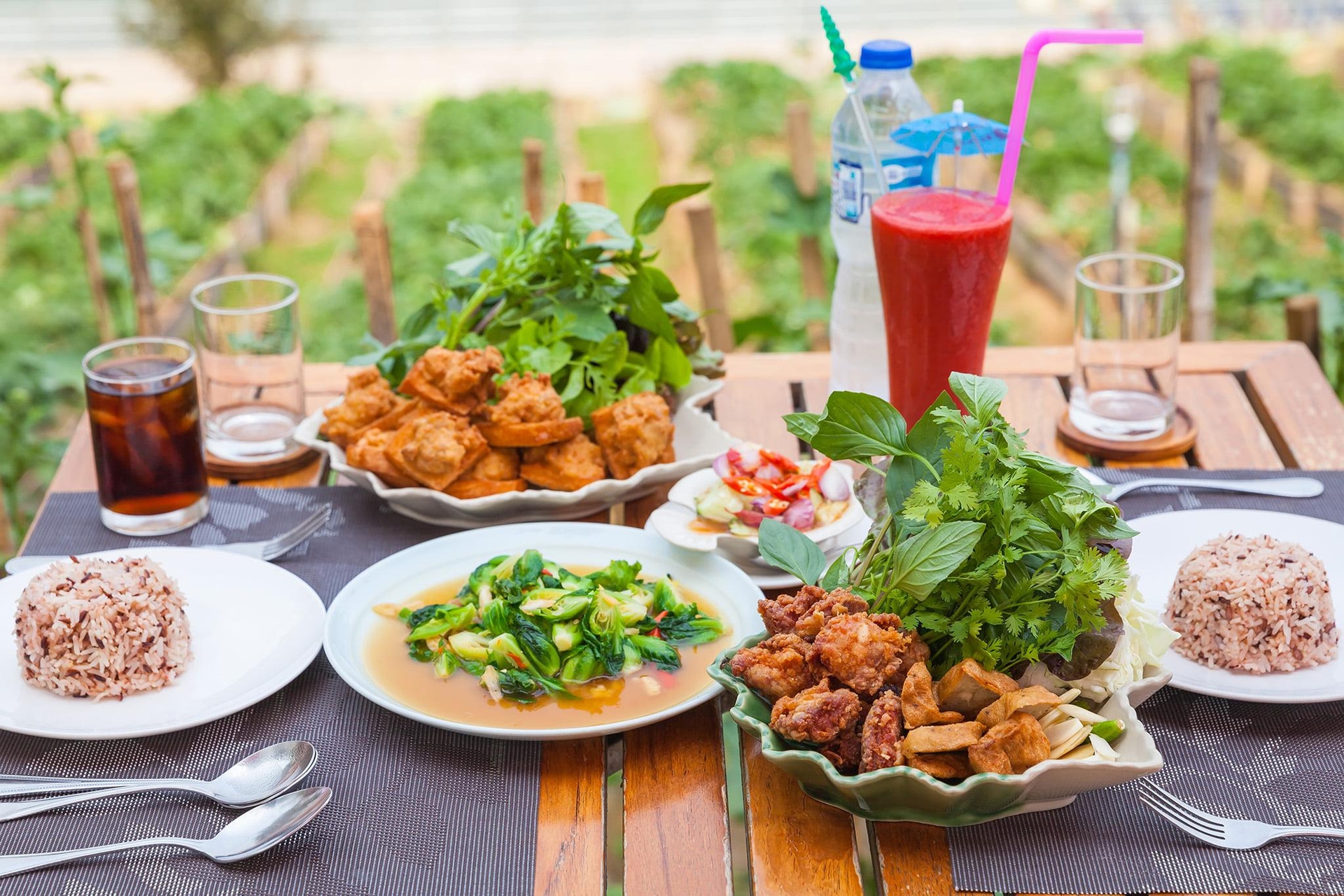 ไร่แสงอรุณ รีสอร์ต (Rai Saeng Arun Resort)4