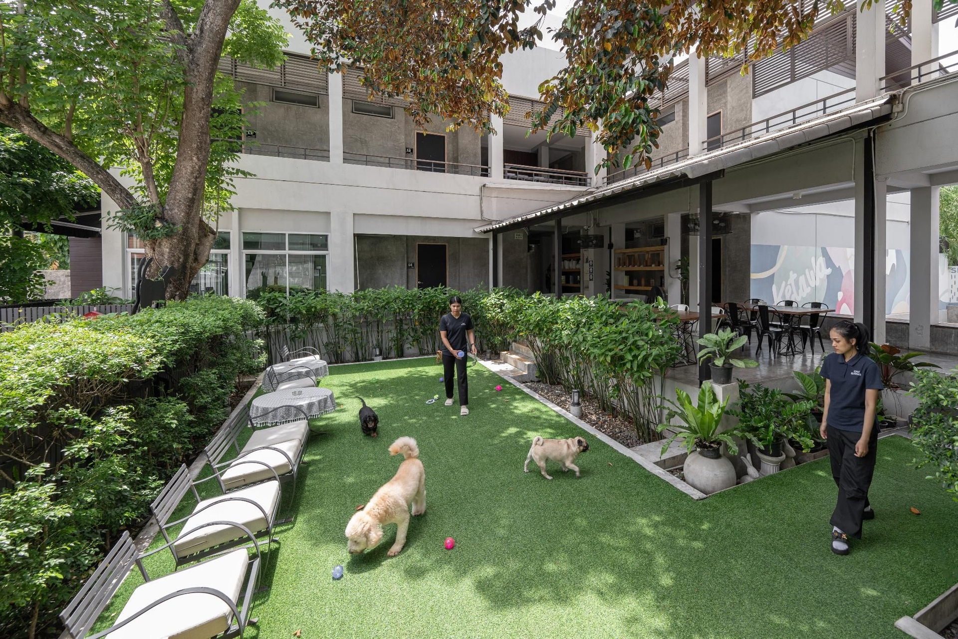 เกตวา เพ็ต เฟรนด์ลี โฮเต็ล (Ketawa Pet Friendly Hotel)4