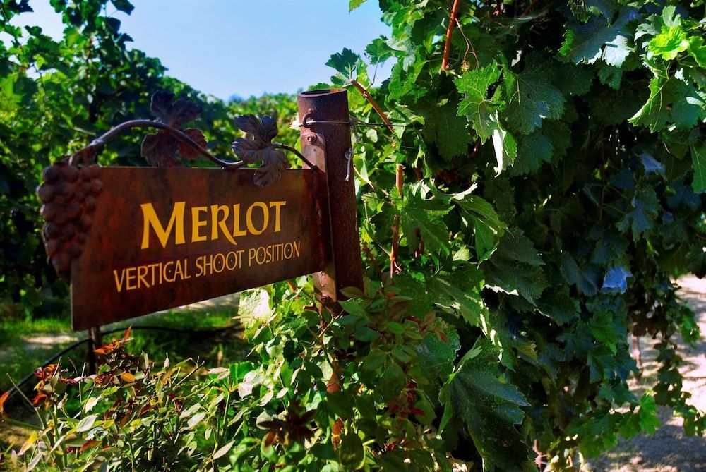 HAMPTON INN - SUITES LODI1