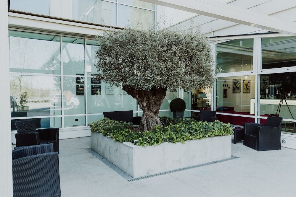 HOTEL CARPI4