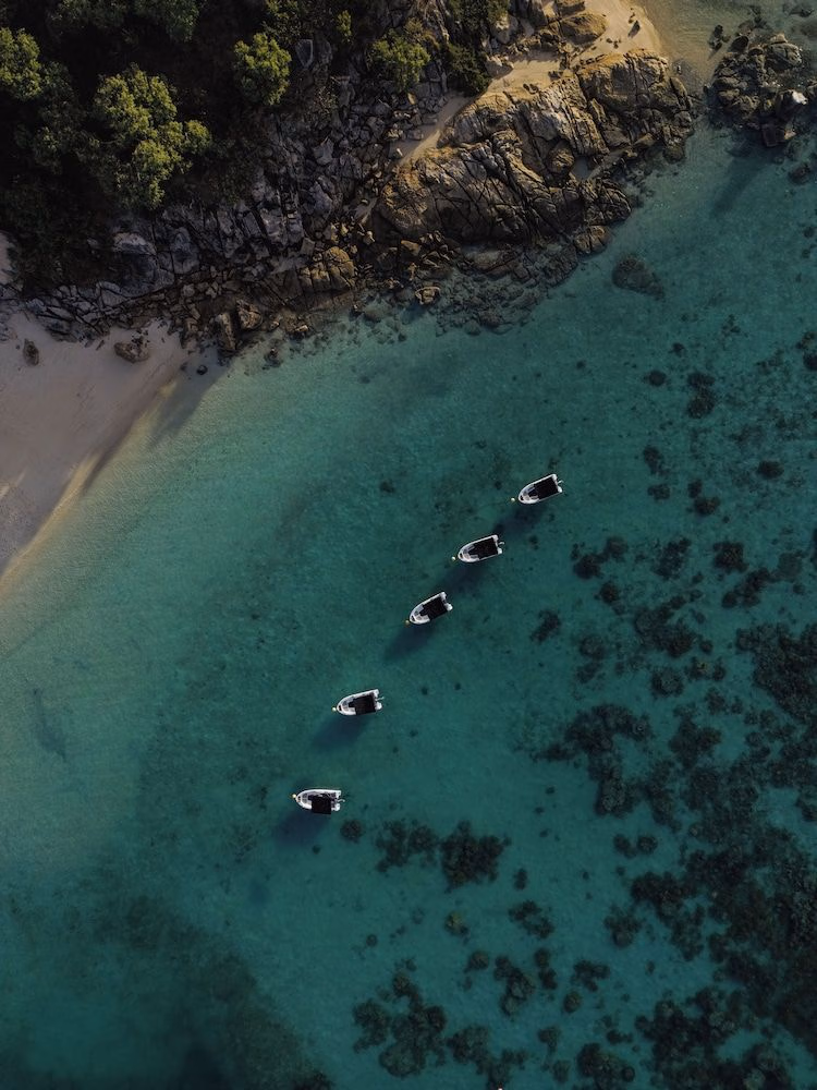 ลิซาร์ด ไอแลนด์ รีสอร์ท (Lizard Island Resort)2