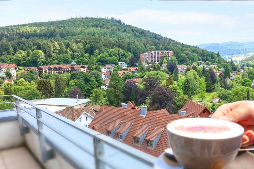 SCHWARZWALD PANORAMA0
