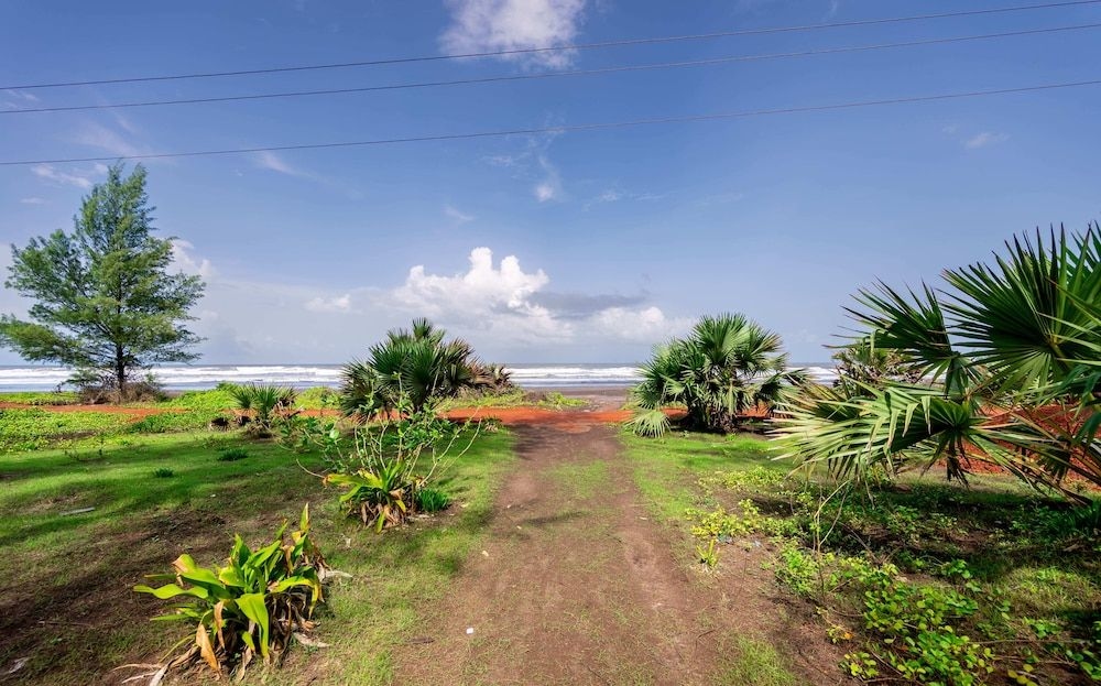 Lotus Beach Resort3