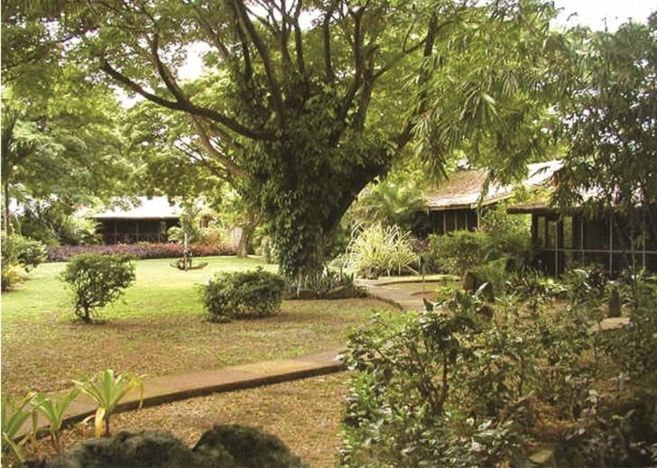 First Landing Beach Resort4