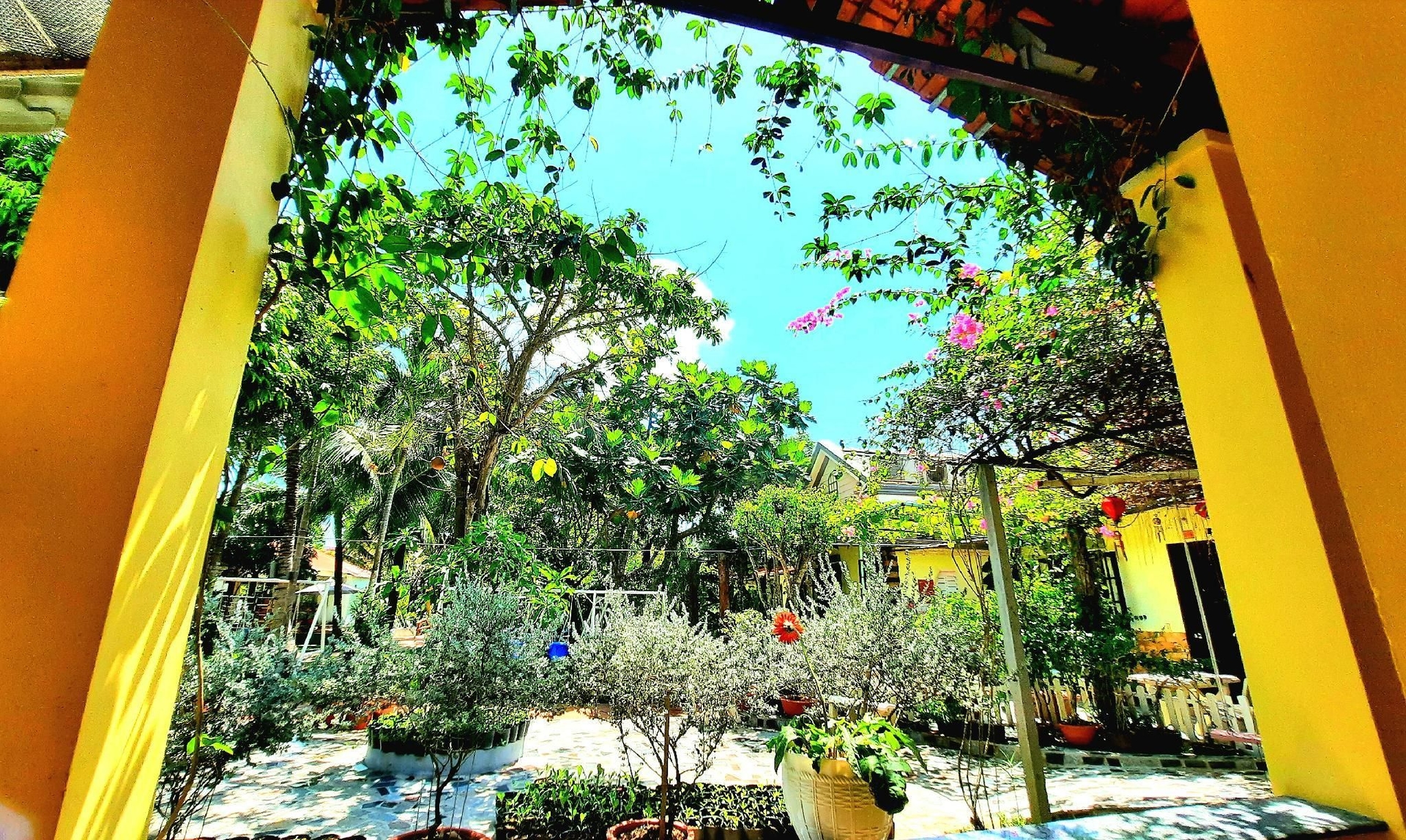 ถ่านห์ดัต รีสอร์ท (Thanh Dat Resort)4