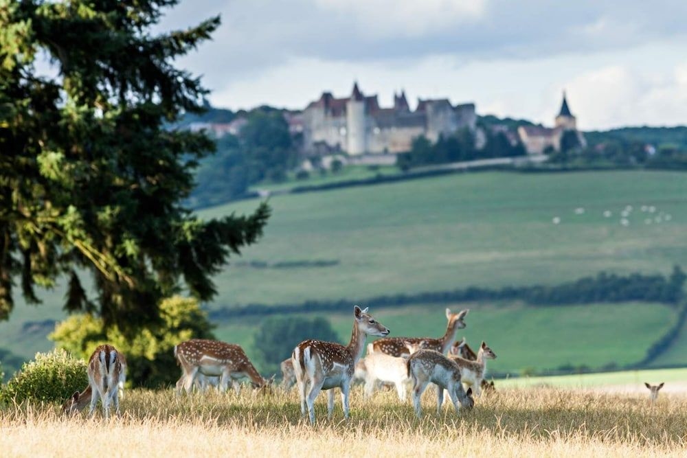 Chateau Sainte Sabine2