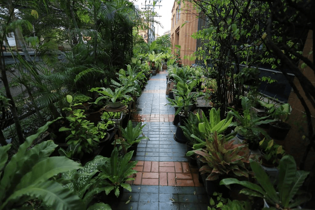 โรงแรมกานมณี พาเลส (Karnmanee Palace Hotel)4
