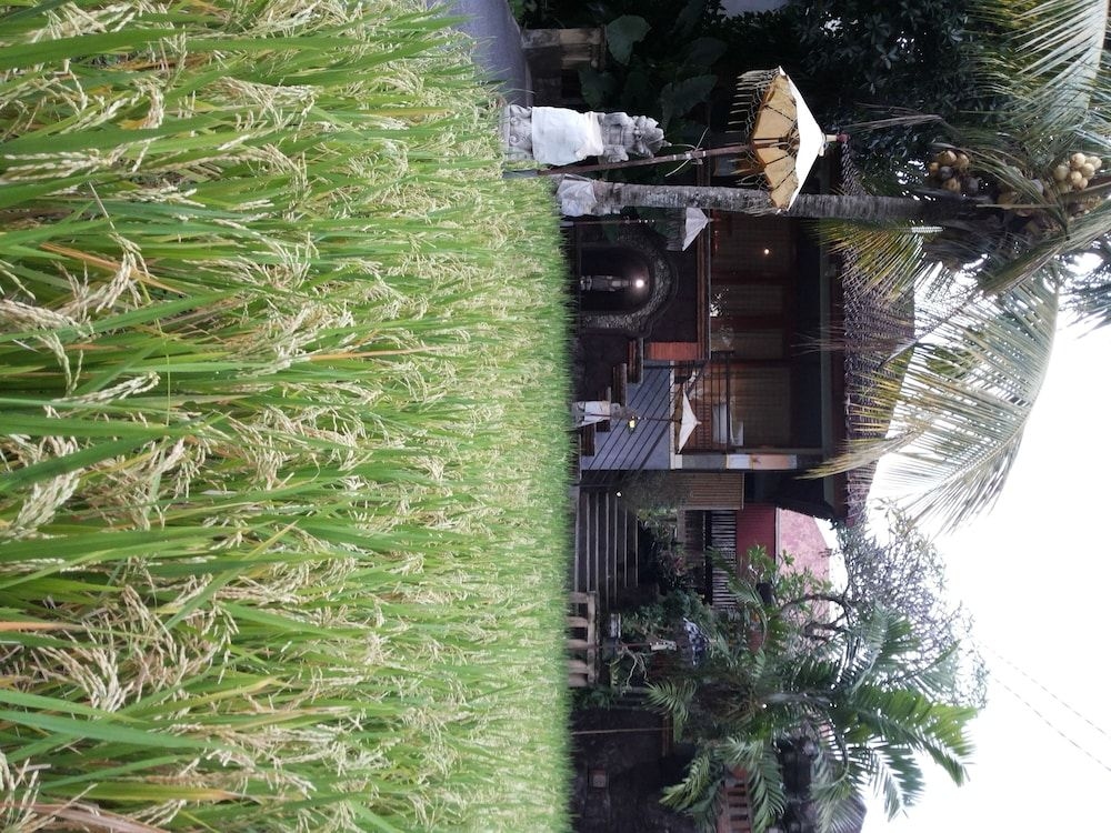 Bali Putra Villa3