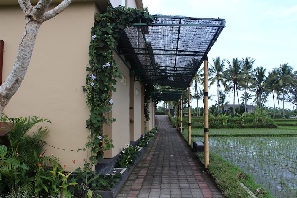 Manyi Village4