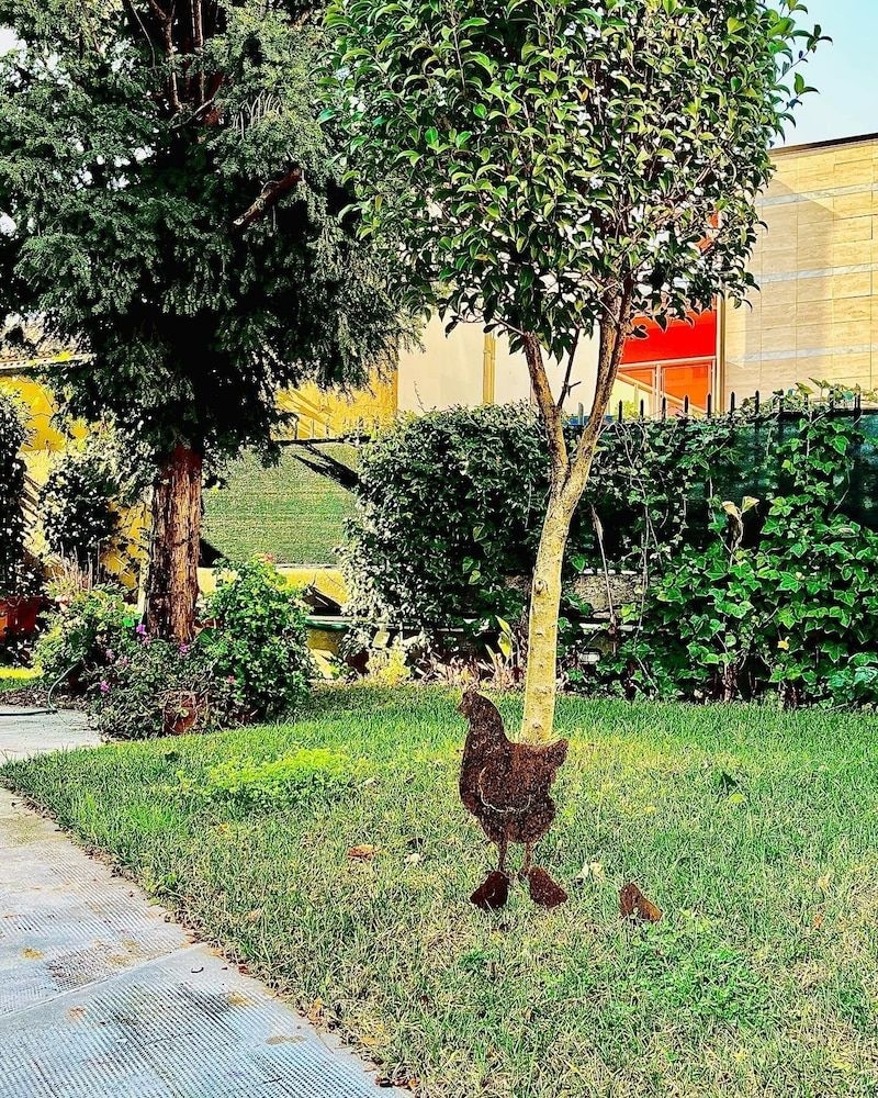 Lucca in Villa San Donato1
