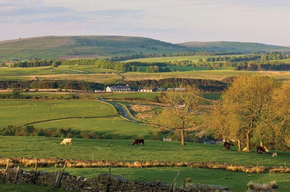 Westmorland Hotel4