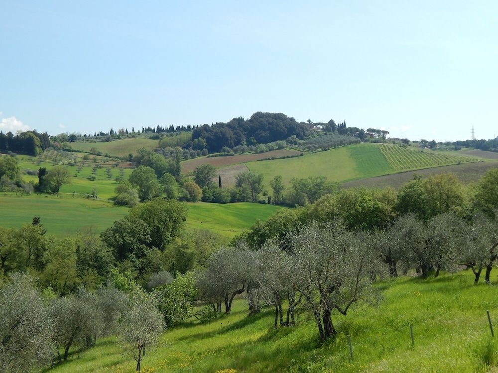 Fullino Nero2