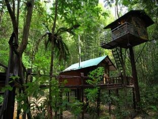 เขาสก ทรีเฮาส์ รีสอร์ท (Khaosok Treehouse Resort)3