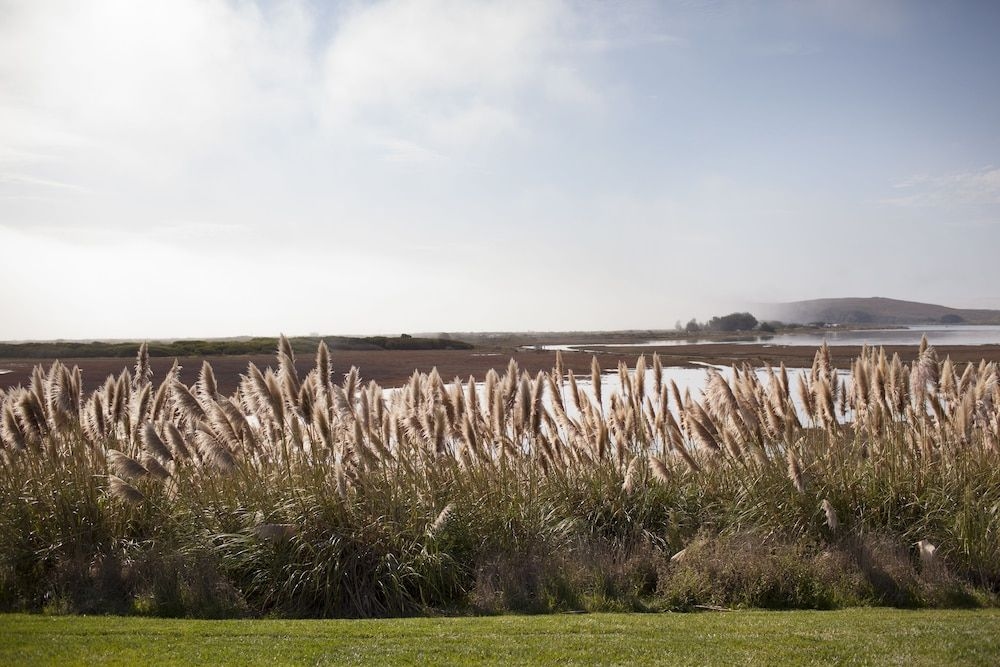 Bodega Bay Lodge0