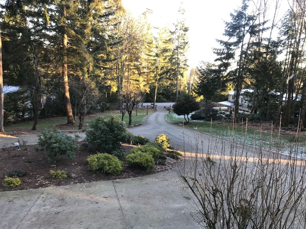 Maple View Bed and Breakfast3