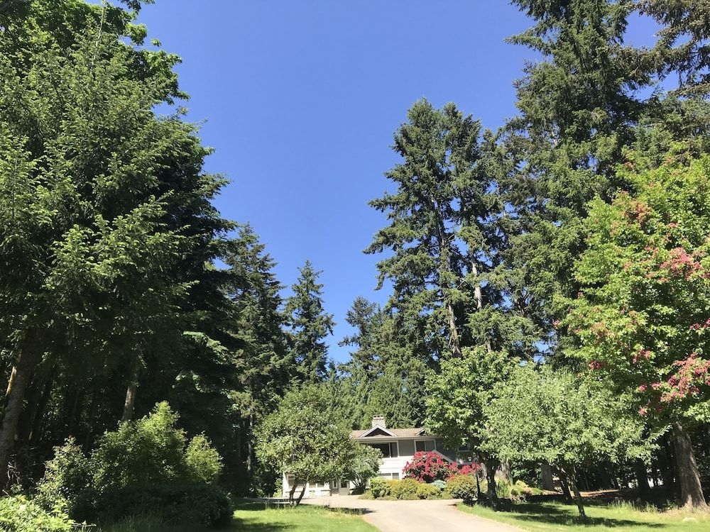 Maple View Bed and Breakfast0