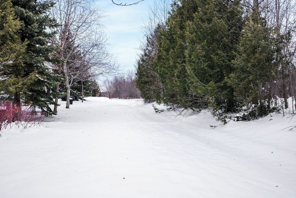 HistoricSnowbridge -Blue Mountain Resort4