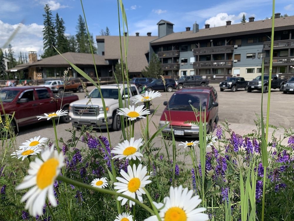 The Griz Inn1