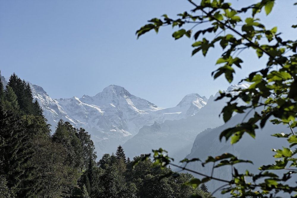Hotel Alpenrose Wengen0