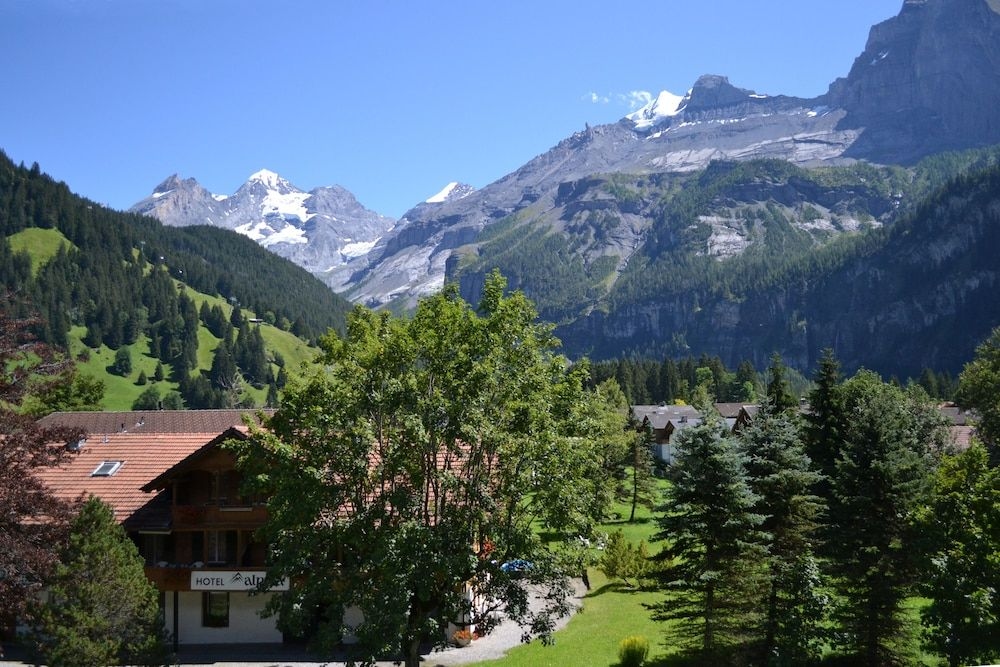 Hotel Alpina1