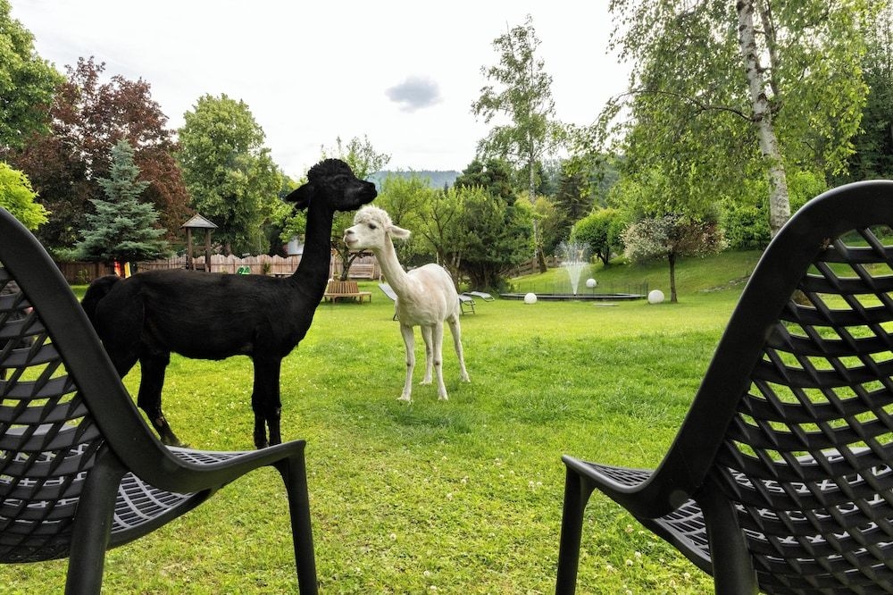 Sporthotel Wilder Kaiser0