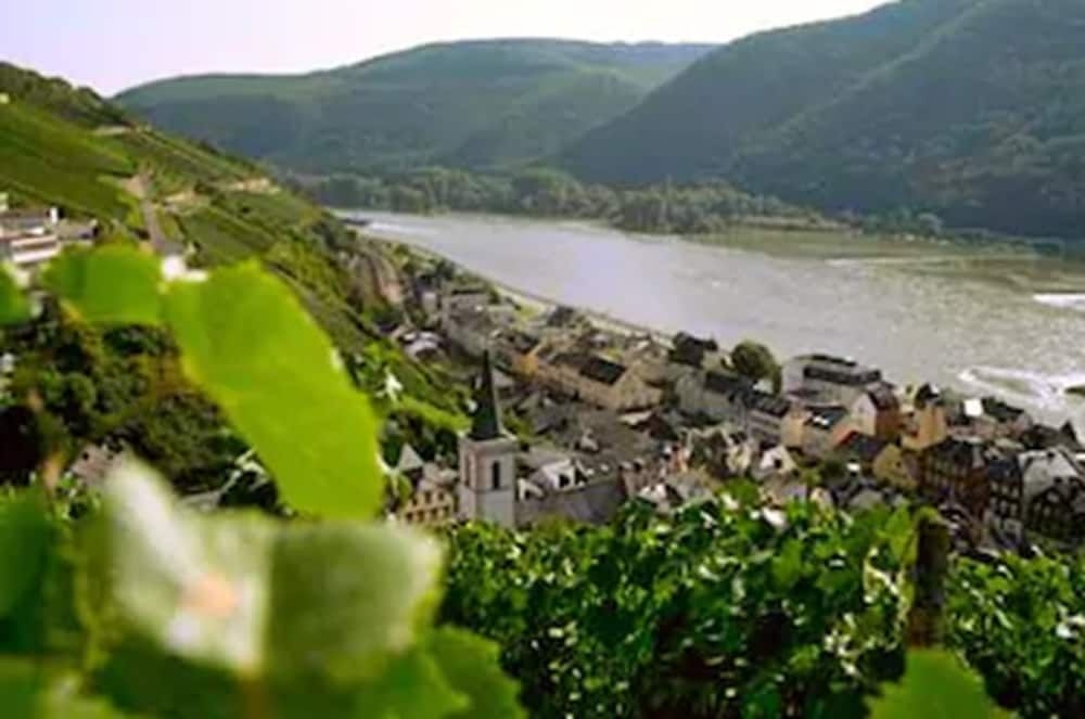 Rheinhotel Lamm0