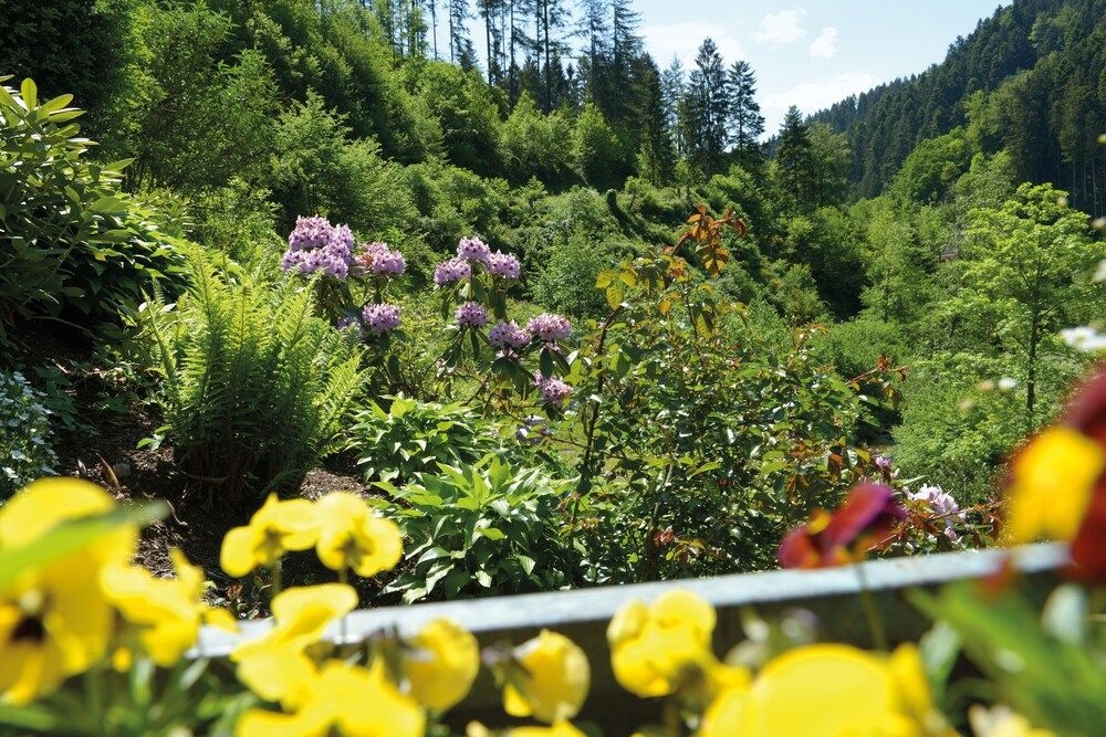 Gasthof Blume1