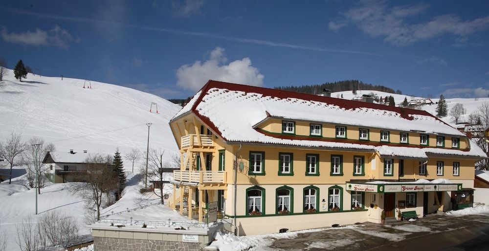 Vital Hotel Gruner Baum3