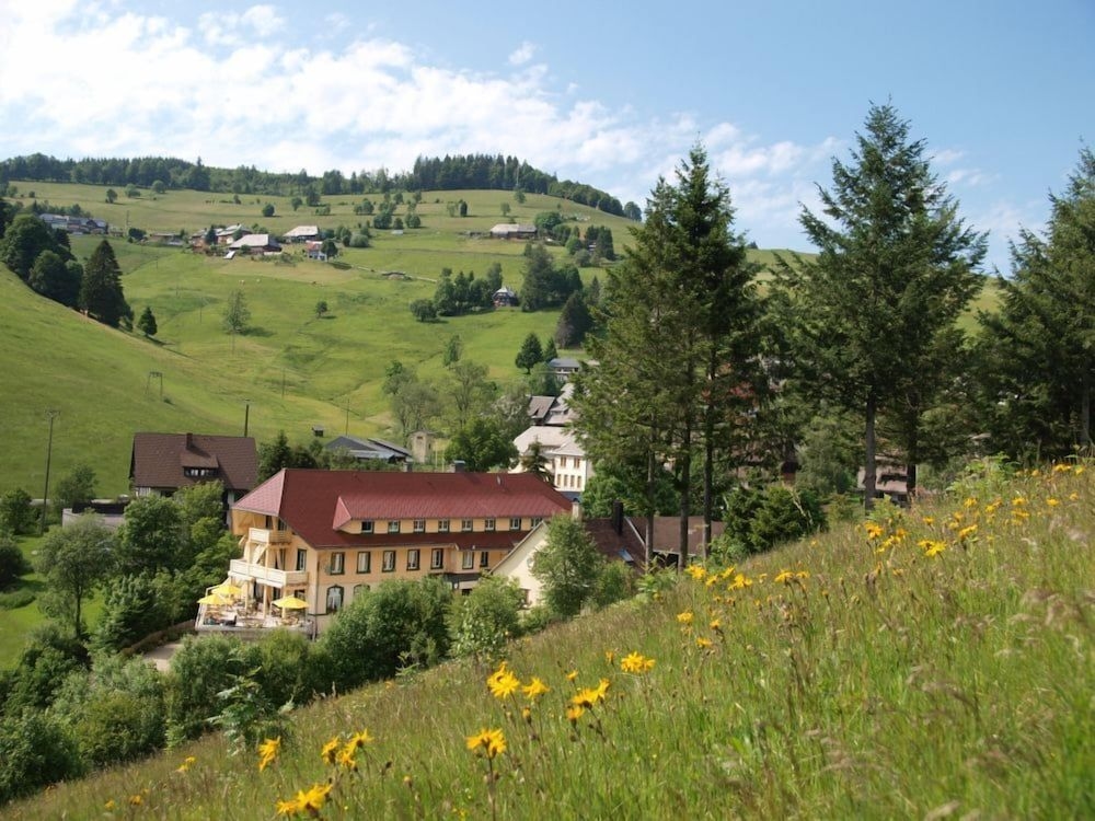 Vital Hotel Gruner Baum1