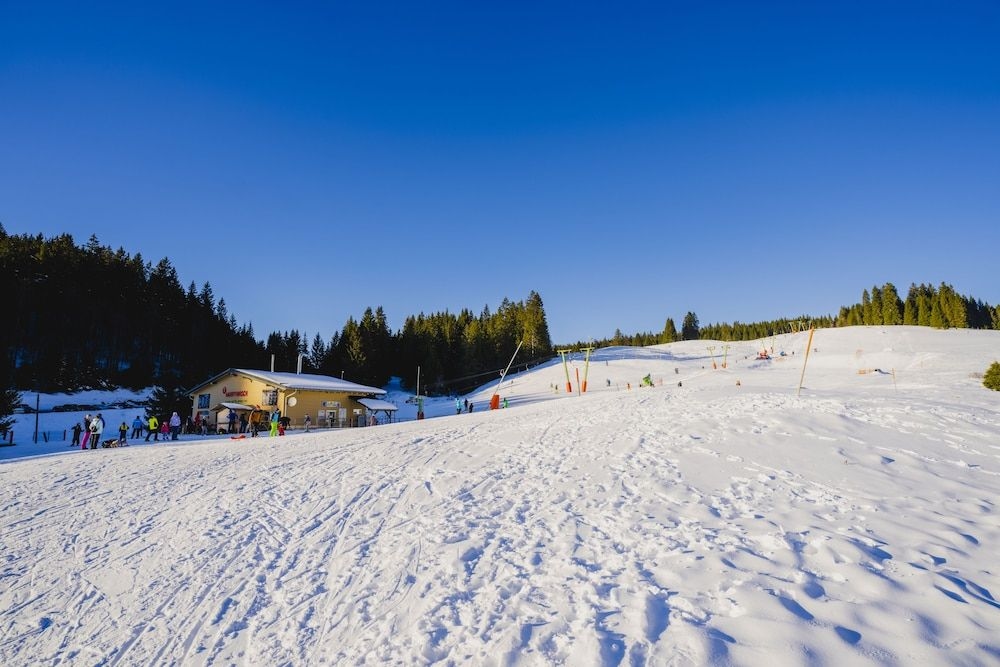 Vital Hotel Gruner Baum0